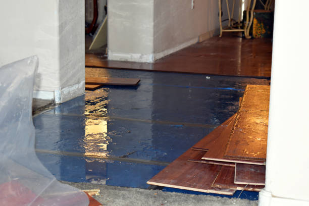 Professional Sewage Cleanup technician working in Polo, IL